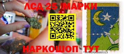 ГАЛЛЮЦИНОГЕННЫЕ ГРИБЫ Беслан