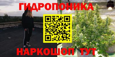 ГАЛЛЮЦИНОГЕННЫЕ ГРИБЫ Беслан