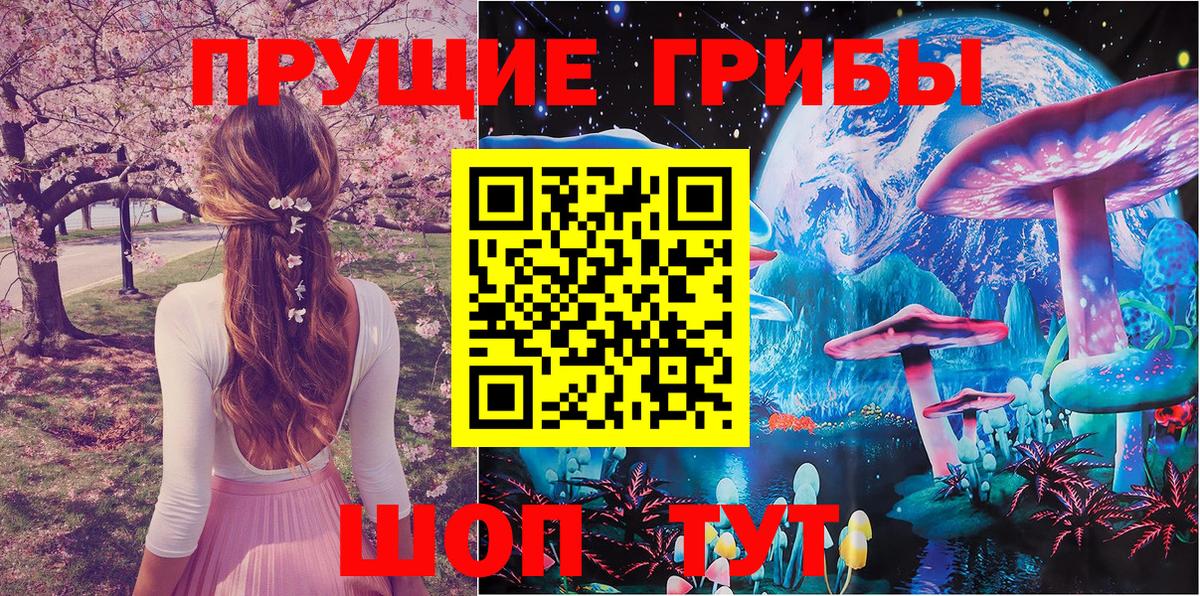 Галлюциногенные грибы мицелий Великий Новгород